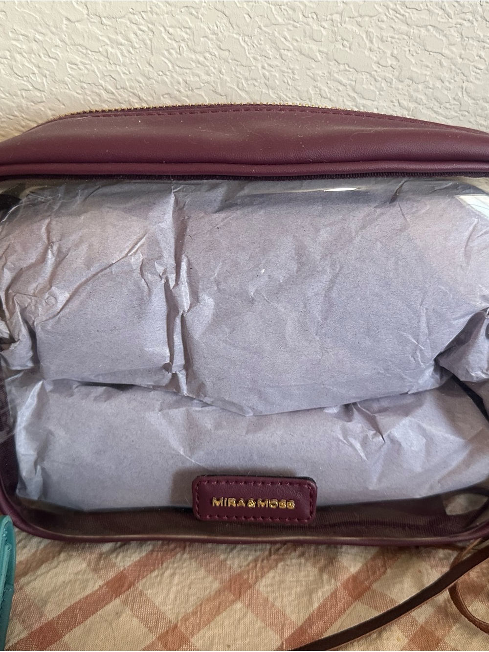 Myra Bag Crossbody Clear Panel Bag in Plum